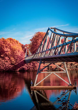 Bridge over water with autumn trees
