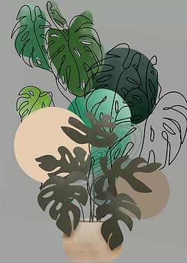 Monstera Plant with Abstract Circles