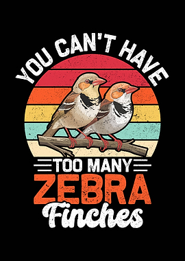 Zebra Finches Bird Lover