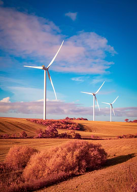 Wind Turbines in Field
