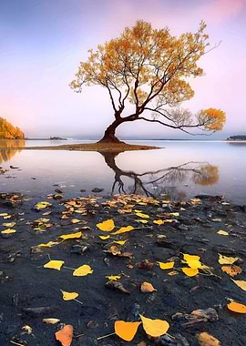 Lone Tree in Autumn Landscape