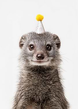 Mongoose with Party Hat Portrait