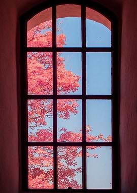 Window View of Pink Tree