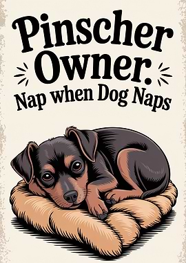 Pinscher Owner Nap When Dog Naps