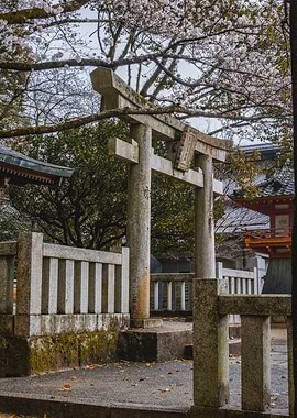Japanese Torii Gate with Cherry Blossoms