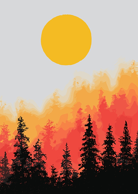 Sunset Forest Silhouette