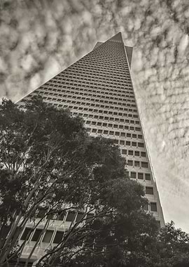 Transamerica Pyramid in San Francisco