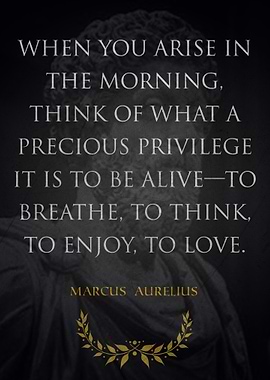 Marcus Aurelius Quote on Life