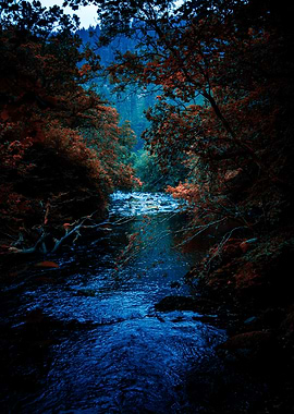 Mystical River Through Autumnal Forest