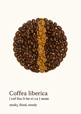 Coffea Liberica