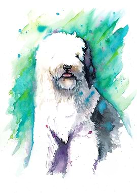 Watercolor Painting of an Old English Sheepdog
