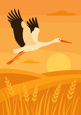 Stork Flying Over Wheat Field