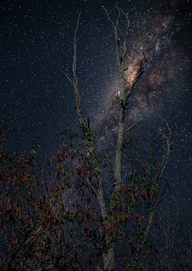 Beneath the Milky Way