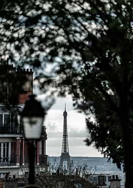 Eiffel Tower View Through Trees