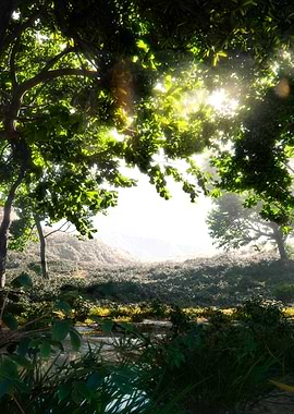 Sunlit Forest Landscape