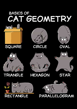 Basics of Cat Geometry Funny Art