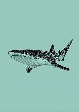 Whale Shark Illustration on Teal Background