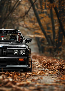 Black BMW E30 in Autumn Forest