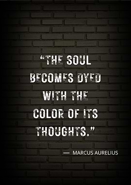 Marcus Aurelius Quote