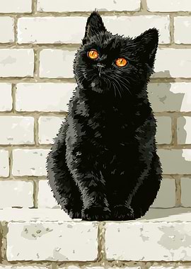 Black Cat with Amber Eyes