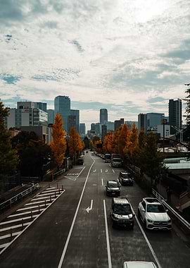 Japanese city street with autumn trees