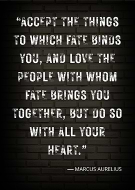 Marcus Aurelius Quote