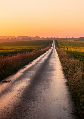 Wet Road Through Fields at Sunset