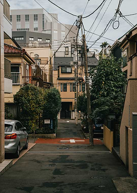 Japanese Street Scene with Power Lines
