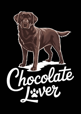 Chocolate Labrador