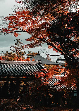 Autumn foliage over traditional Japanese architecture