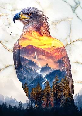 Golden Eagle's Sunset Realm