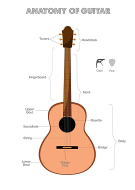 Anatomy of a Guitar Diagram