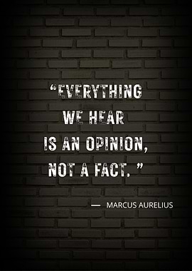 Marcus Aurelius Quote
