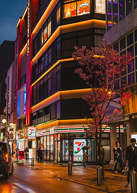 Urban Cherry Tree in Fukuoka
