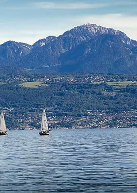Sailboats on Leman Lake with Mountain Backdrop