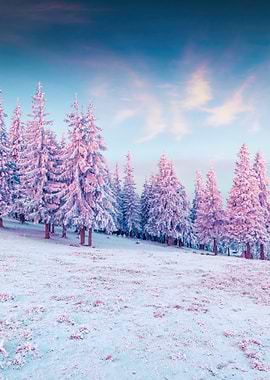 Winter landscape with snow-covered trees