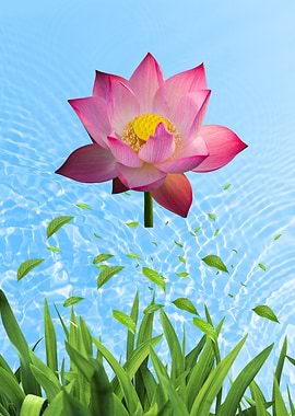 Pink Lotus Flower with Greenery