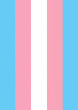 Transgender Pride Flag