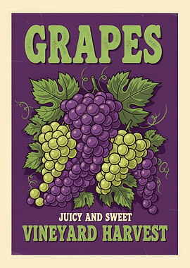 Grapes Vineyard Harvest Poster