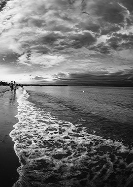 Black and White Beach Scene