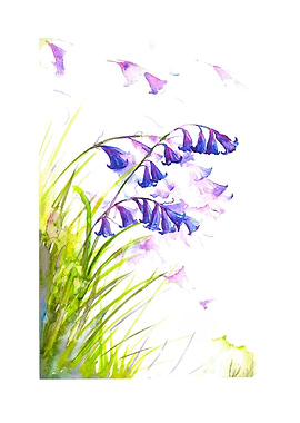 Watercolor Bluebell Flowers Painting