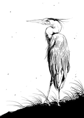 Heron Bird, Guardian of the Silent Marshlands