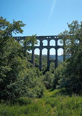 Ancient Aqueduct in Lush Green Landscape