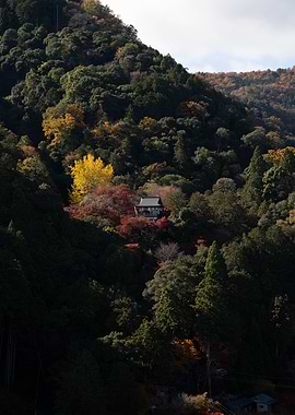 Japanese Temple in Autumn Forest