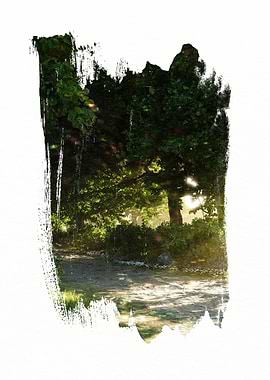 Sunlit Forest Path with Brushstroke Effect