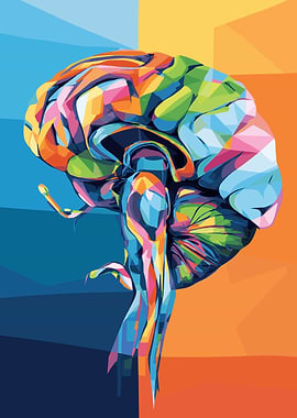 Colorful Brain Anatomy Pop Art