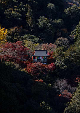 Japanese Temple in Autumn Forest