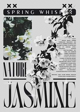 Spring Whisper: Jasmine