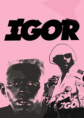 Tyler the Creator Igor Album Cover Art