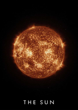 The Sun in Space